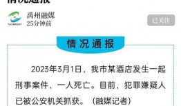 禹州佣金爆料事件最新,揭秘佣金乱象背后的真相与反思